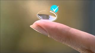 How to Put in Contacts  DAILIES® AquaComfort Plus® Contact Lenses [upl. by Zildjian]