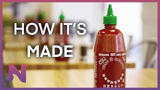 Huy Fong Foods Inside the Sriracha Factory  NextShark Exclusive [upl. by Ailad]