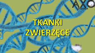 33 Tkanki zwierzęce [upl. by Gerrit]