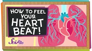 How to Feel Your Heart Beat [upl. by Lundgren437]