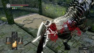 Really appreciate it Dark Souls [upl. by Yelnahs507]