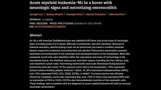 13 Acute myeloid leukemiaM1 in a horse with neurologic signs and necrotizing enterocolitis [upl. by Murtha225]