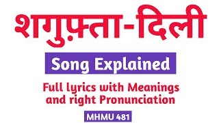 Shagufta dili  Song explained  Full Lyrics  Pronunciation [upl. by Rubio860]