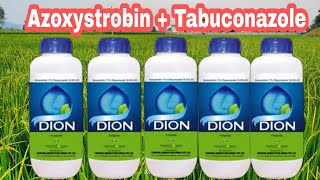 Dion fungicide ।azoxystrobin  Tabuconazole use।।use। price। Dose। [upl. by Lavona160]