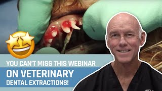 Veterinary Dental Extraction Webinar [upl. by Nangem62]