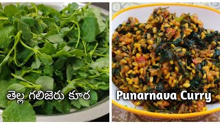 TELLA GALIGERU KURA PUNARNAVA CURRY In teluguఈ ఆకు కూర తింటే డయాబెటిస్ రాదు [upl. by Halil323]