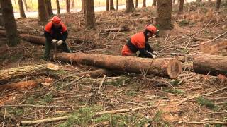 Clip 17  RISCHI nel LAVORO con TRATTORE e VERRICELLO [upl. by Kehsihba306]