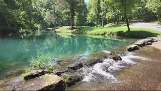 Sponsored content Exploring the Ozarks Dogwood Canyon Nature Park [upl. by Gaither189]