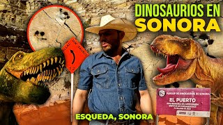 Las PISADAS de DINOSAURIOS en el territorio de Sonora 🦖 Fósiles de Dinosaurio en Esqueda Fronteras [upl. by Siroved]