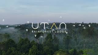 Utan Rainforest Lodge Sabah Malaysian Borneo [upl. by Zsazsa143]