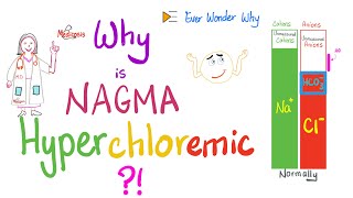 The Serum Anion Gap AGWhy is NAGMA associated with High Serum Chloride [upl. by Ivah]