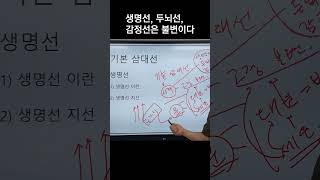 대유학당생명선 두뇌선 감정선은 불변이다 손금 수상 겸재 민광욱 선생님 강의문의 01097275630 [upl. by Hannan]