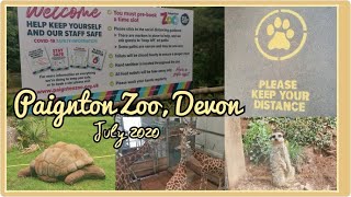 A visit to Paignton Zoo Devon  July 2020 [upl. by Hebert]