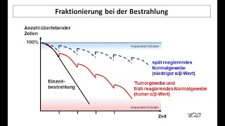 Fraktionierung beim Mammakarzinom  Strahlentherapie Prof Hilke Vorwerk [upl. by Rawdan]