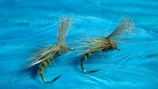 Tying an Emerger Caddis Grannom by Davie McPhail [upl. by Roybn]