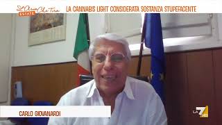 Giovanardi quotLa cannabis curativa va benissimo non la ricreativa che provoca mortiquot [upl. by Edmon]