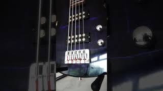 Lindo PDB 5String Bass [upl. by Imuy]