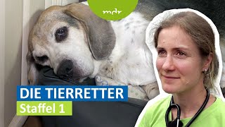 Die Tierretter 1  Helfer im Einsatz  MDR [upl. by Renita]