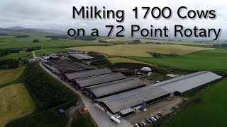 Milking 1700 Cows on a 72 Point Rotary  Scotland [upl. by Htenek963]