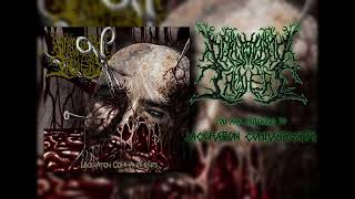 Defenestrated Treachery  Laceration Commandments Slamming Brutal Death Metal [upl. by Ahsilyt]