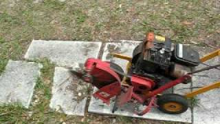 2 HP McLane Edger demo [upl. by Emmott]