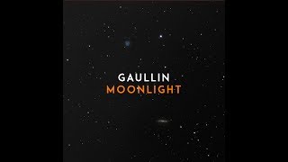 Gaullin  Moonlight Official Audio [upl. by Sherye671]