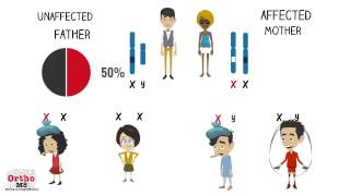 What are Xlinked traits [upl. by Flann]