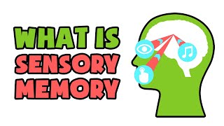 What is Sensory Memory  Explained in 2 min [upl. by Hpesoj142]