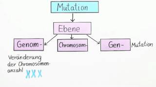 Mutation von Genen  Biologie  Genetik [upl. by Shay]