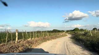 Exploring the outback of Baraúna Paraíba Brazil [upl. by Perceval547]