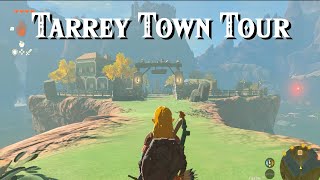 Tarrey Town EXTREME Makeover [upl. by Aicila]