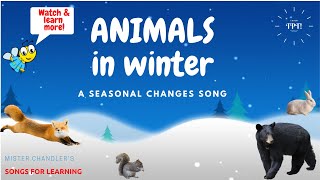 Animals in Winter Animal Adaptations Song [upl. by Rosamond]