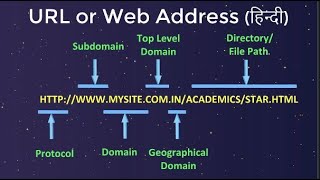 URL or Web address in Hindi [upl. by Loesceke886]