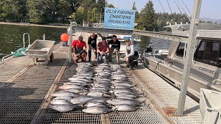 Insane Winter Harbour Albacore Tuna Vancouver Is BC [upl. by Rednave]