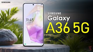 Samsung Galaxy A36 5G First Look Design Key Specifications Features  Samsung GalaxyA36 5g [upl. by Asilem752]