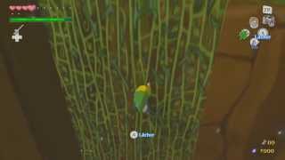 Lets Play The Legend of Zelda The Wind Waker HD Partie 25  Exploration au Temple du Vent [upl. by Akenor]