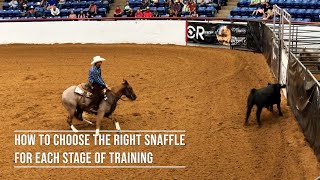 How to Choose the Right Snaffle for Each Stage of Training [upl. by Tiduj]