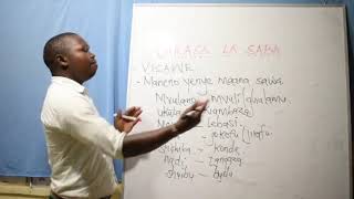 Class 7  Kiswahili Visawe vitawe vitate [upl. by Scrope]