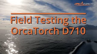 Orcatorch D710 Dive Light Field Review [upl. by Lemert]