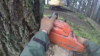 TALL Fir Husqvarna 2100 CD Savin The Day [upl. by Nylarahs]