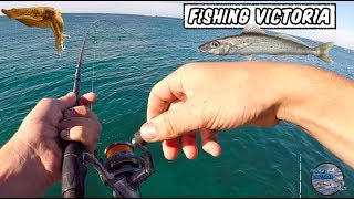 Landbased Whiting Fishing  Mornington Peninsula [upl. by Aihgn]