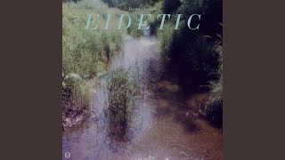 Eidetic [upl. by Lerud]