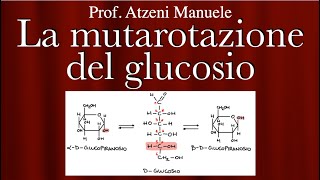 La mutarotazione del glucosio  L6 [upl. by Eeslehc]