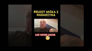 🏳️‍🌈MISIEK Z NADARZYNA  FREE LOVE misiek masa lgbt losvatoslocos mafia [upl. by Arihaj]