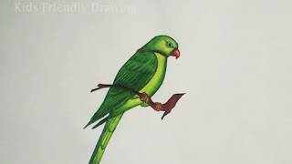 How To Draw Parrot step by step easy  Parrot Drawing Easy [upl. by Hazem]