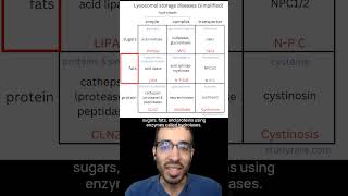 Learn about lysosomal storage diseases with this 3x3 grid [upl. by Airotkiv]