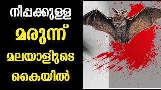 മുടി പെട്ടന്ന് നീളം വക്കാൻ 12 Tips [upl. by Sundstrom]