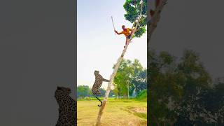 A leopard attacks a boy in the village vfx shorts leopard wildlife videos tiger [upl. by Nanny]