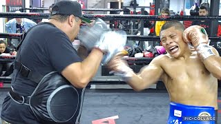 PITBULL CRUZ TRAINING FOR GERVONTA DAVIS LIKE A MONSTER HITTING MITTS AFTER 12 ROUNDS OF SPARRING [upl. by Floris752]