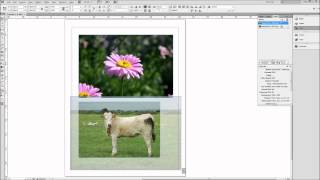 InDesign Tutorial Working with Images HD [upl. by Ludeman818]